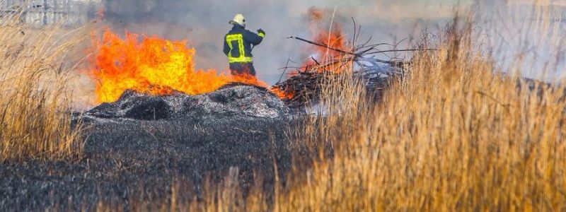 Под Киевом женщина чуть не сгорела, сжигая сухую траву