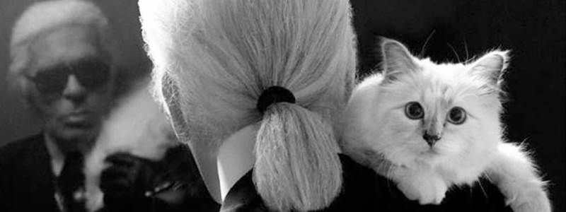 Блокирование метро в Харькове, наследство Лагерфельда и извержение вулкана Этна: ТОП новостей дня