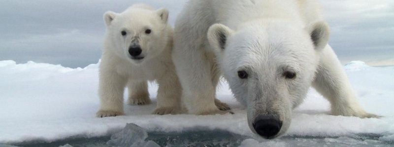 27 февраля: какой сегодня день