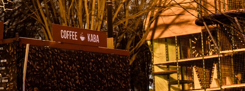 Особый взгляд: как выглядит дождливый Соломенский парк перед рассветом