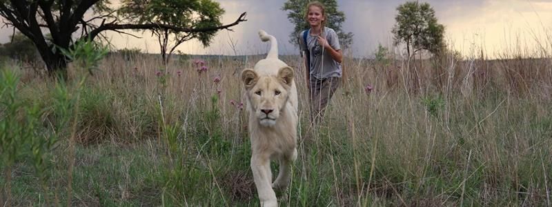 Кинопремьеры недели: что интересного посмотреть в Киеве