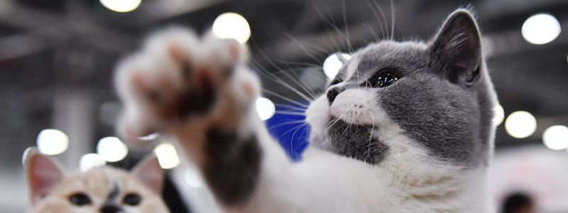 16 марта: куда пойти сегодня