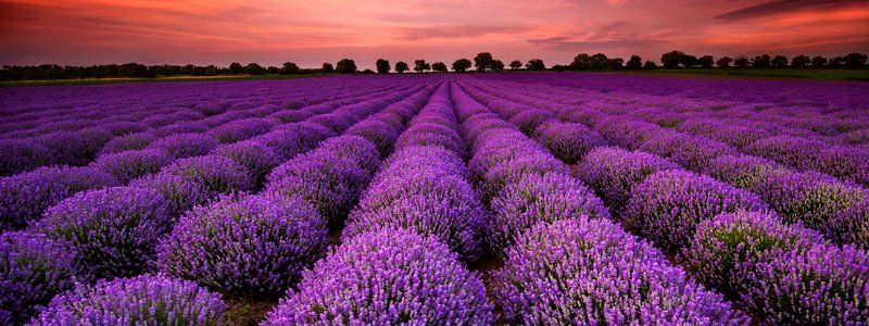 26 марта: какой сегодня праздник