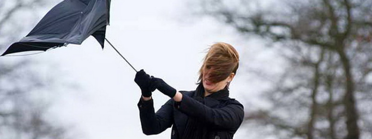 В Киеве поднялся мощный ветер: объявили желтый уровень опасности