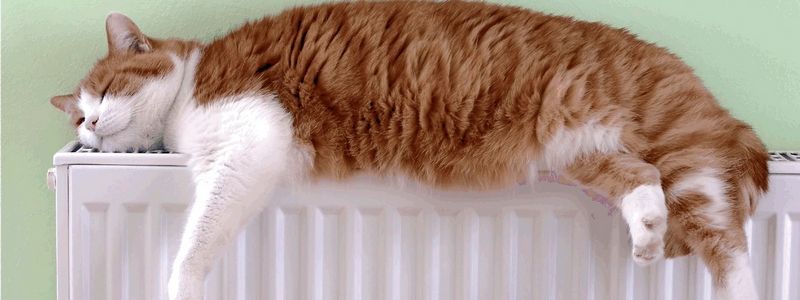 Когда в Киеве отключат отопление: итоги отопительного сезона