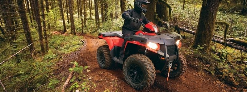 В лесах Киева и области запретили стрелять и ездить на мотоциклах: кто и зачем