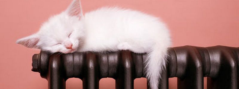 В Киеве на Борщаговке без горячей воды и отопления остались более 300 домов