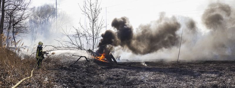 В Киеве Троещину затянуло дымом: что горит