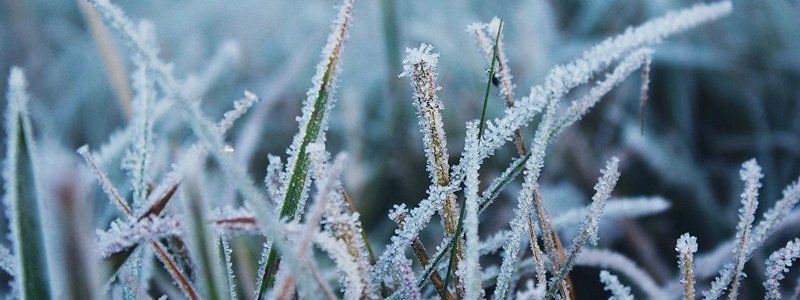 На Киев надвигаются заморозки: когда резко похолодает