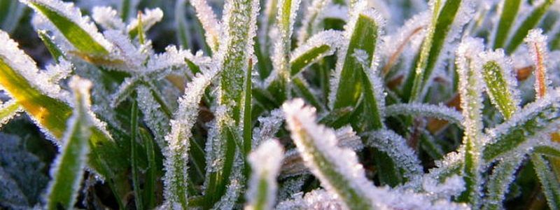 На Киев надвигаются заморозки