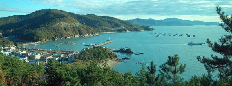 Из Киева запустят прямой рейс на "восточные Гавайи"