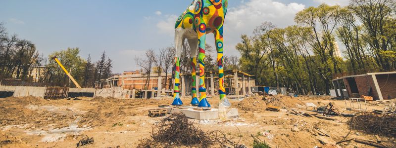 Реконструкция зоопарка в Киеве: что хотят сделать и как он выглядит сейчас