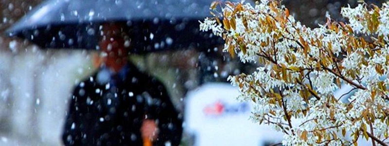 Взрыв гранаты в Харькове, американские военные против НЛО и непогода в Украине: ТОП новостей дня