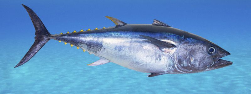 2 мая: какой сегодня праздник