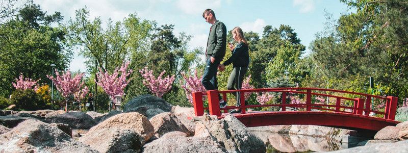 В Киеве за восемь миллионов отремонтируют парк "Киото": как он выглядит сейчас