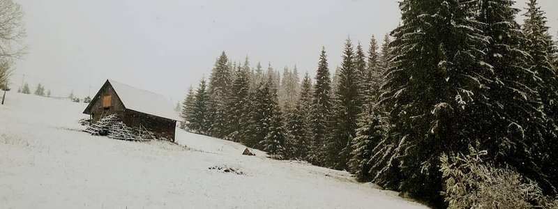 В Украине в мае выпал снег