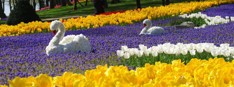 8 мая: куда пойти сегодня