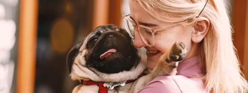 Dog-friendly: все, что нужно знать о жизни собаки в Киеве и лучшие фото в Instagram