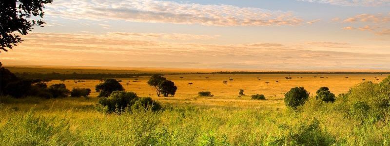 Студенти Києва про навколишнє середовище: сортування твердих побутових відходів та набуття практичних навичок