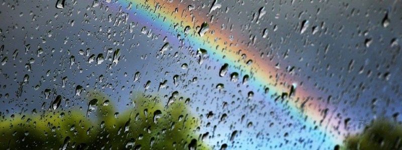 Подожди - дожди - дожди: когда в Киев вернется хорошая погода