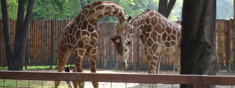 20 мая: куда пойти сегодня