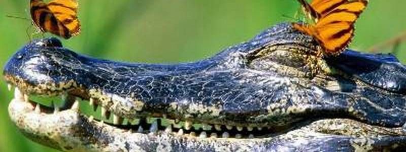 22 мая: какой сегодня праздник