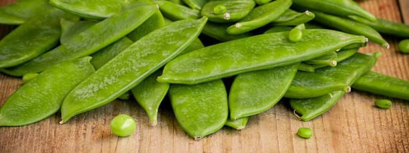 Где в Киеве купить молодой горошек, зелень и свежую редиску возле дома: адреса