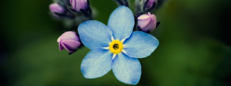 25 мая: какой сегодня праздник