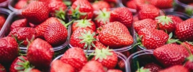 Где в Киеве купить натуральную клубнику, огурцы и помидоры возле дома: адреса