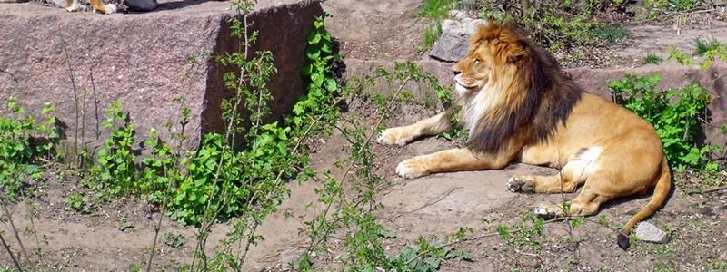 31 мая: куда пойти сегодня