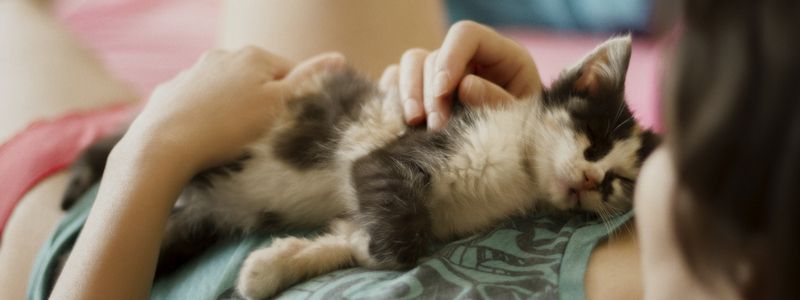 Какие курсы, тренинги и мастер-классы ждут жителей Киева на этой неделе