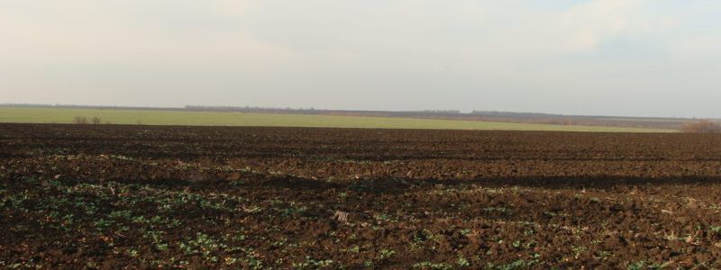 Народна земельна реформа: формування з селян-власників землі власників аграрного виробництва