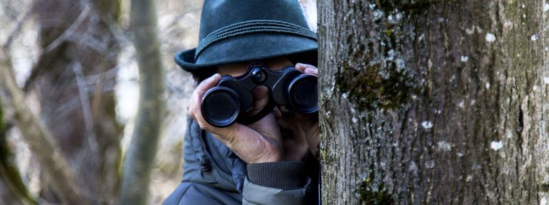 В Киеве начнут следить за детьми в летних лагерях