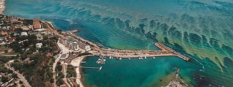 Решение кризиса в Молдавии, "бой" Тома Круза и цветение Черного моря в Одессе: ТОП новостей дня