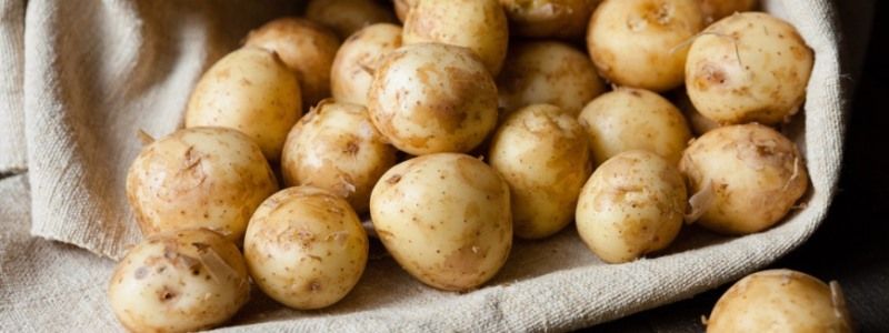 Где в Киеве купить вкусную клубнику, молодой картофель и кабачки возле дома: адреса