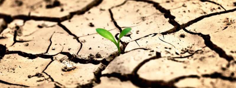 17 июня: какой сегодня день