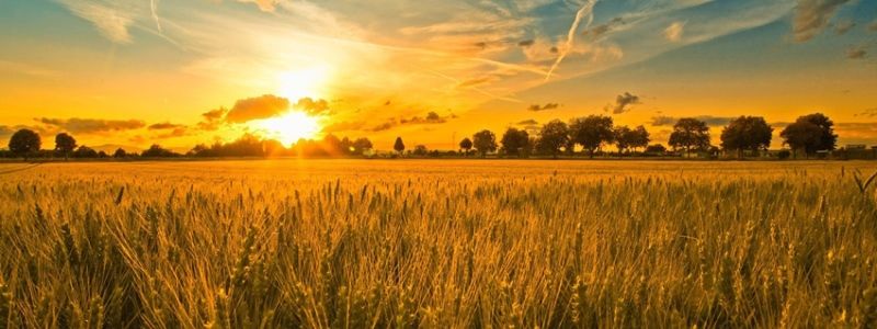В Україні створили Державну службу з етнополітики та свободи совісті: яка мета спільноти та як це вплине на розвиток країни в майбутньому