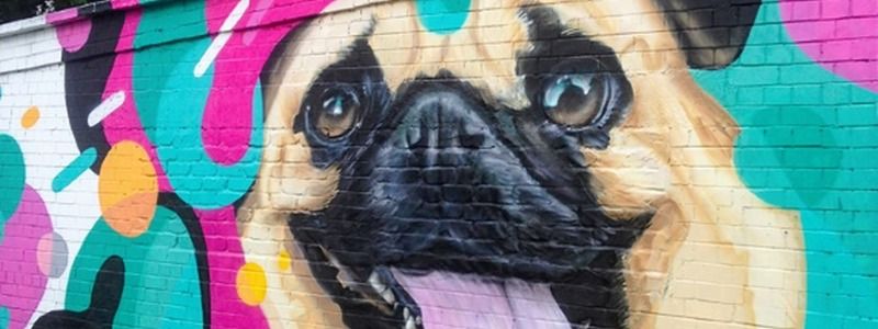 В Киеве на Позняках появился огромный мопс: для чего создали новый мурал