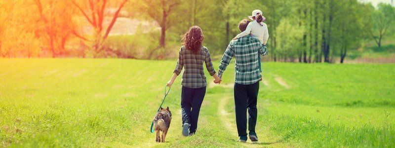 19 июня: какой сегодня праздник