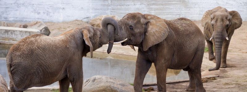 20 июня: какой сегодня праздник