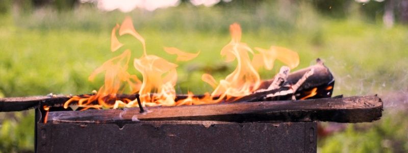 В Киеве стало опасно жарить шашлыки в лесу