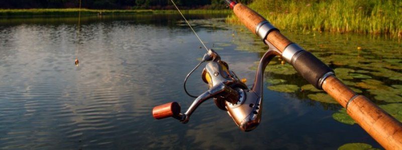 Всесвітній День Рибальства: де у Києві можна ловити рибу та які штрафи чекають на браконьєрів за незаконний видобуток біоресурсів