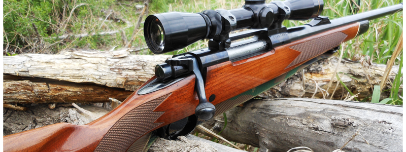 Под Киевом депутат расстрелял из ружья людей, пожелавших проехаться по его полю