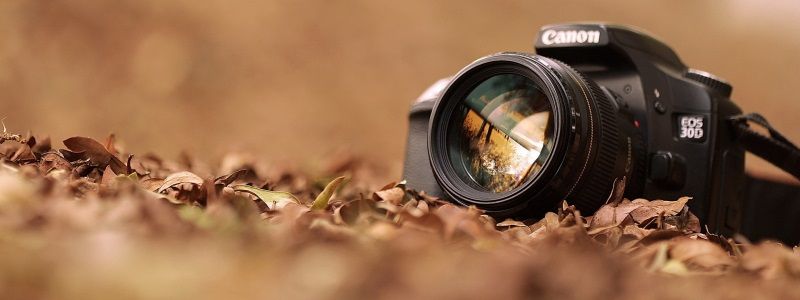 ТОП-100 лучших фотографий 2017 года