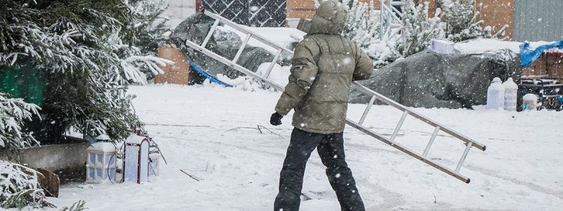 В Киеве тотальный деревопад: спасатели предупреждают об опасности