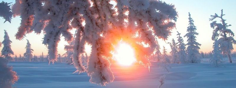 21 декабря: какой сегодня праздник