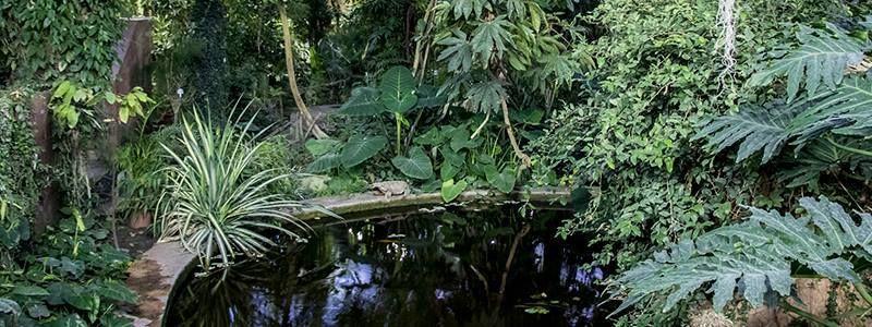 В Киеве появилась возможность попасть в тропический лес, не покидая город