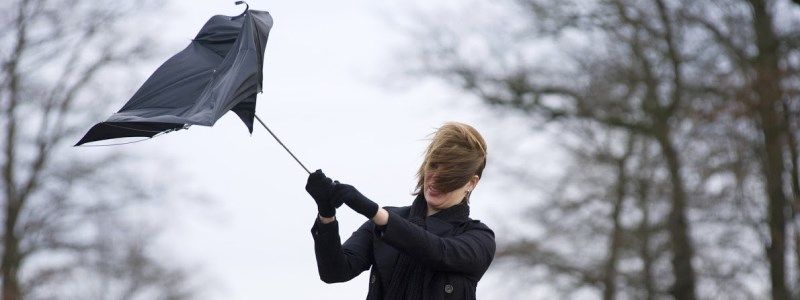 В Киеве объявили штормовое предупреждение: скорость ветра достигнет 20 м/с