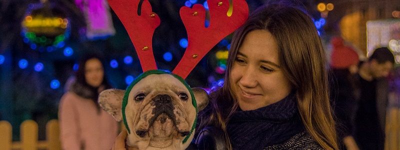 Новый год с Президентом и рокерами: в Киеве появилась программа празднования главной ночи в году