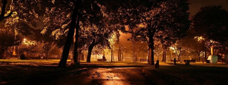 В Днепровском районе в парке находят фрагменты расчлененного тела